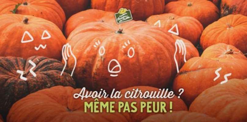 citrouilles