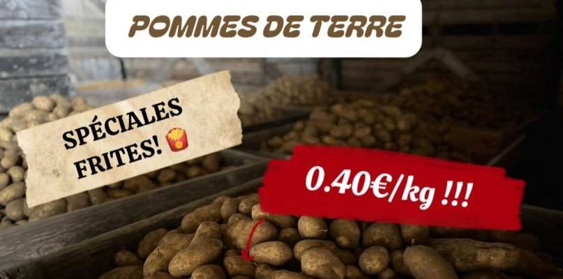 Prix patates