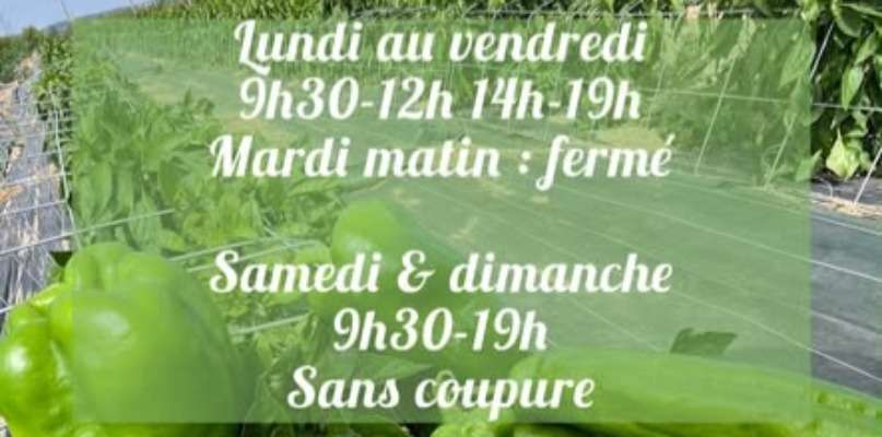 horaires semaine du 20 juillet