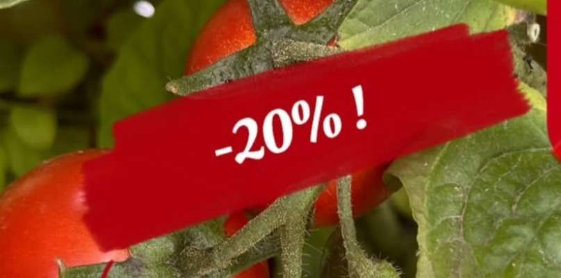 promos tomates hors serre aubergines poivrons